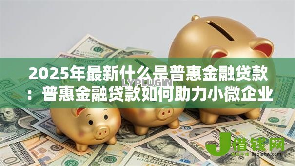 2025年最新什么是普惠金融贷款：普惠金融贷款如何助力小微企业发展