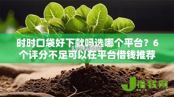 时时口袋好下款吗选哪个平台?6个评分不足可以在平台借钱推荐 时时口袋好下款吗选哪个平台?6个评分不足可以在平台借钱推荐