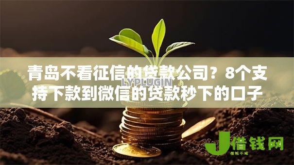 青岛不看征信的贷款公司？8个支持下款到微信的贷款秒下的口子