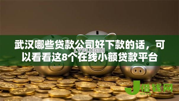 武汉哪些贷款公司好下款的话，可以看看这8个在线小额贷款平台
