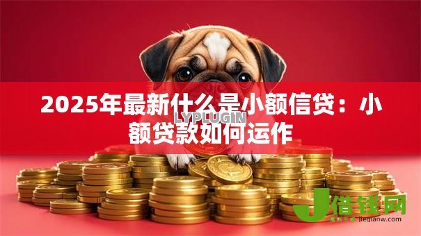 2025年最新什么是小额信贷：小额贷款如何运作