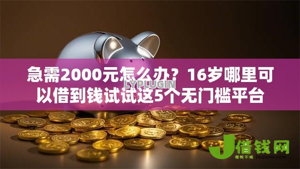急需2000元怎么办?16岁哪里可以借到钱试试这5个无门槛平台 急需2000元怎么办?16岁哪里可以借到钱试试这5个无门槛平台