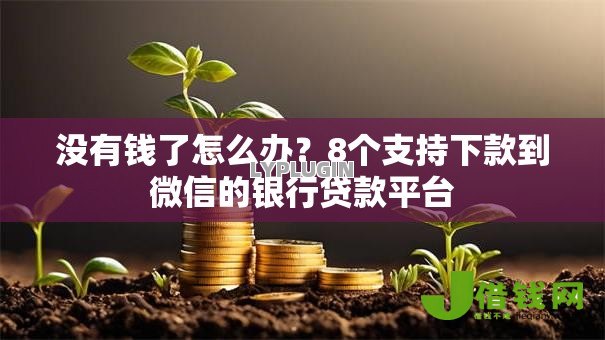 没有钱了怎么办？8个支持下款到微信的银行贷款平台