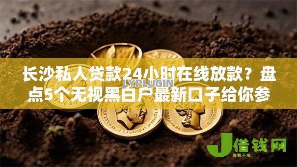 长沙私人贷款24小时在线放款？盘点5个无视黑白户最新口子给你参考