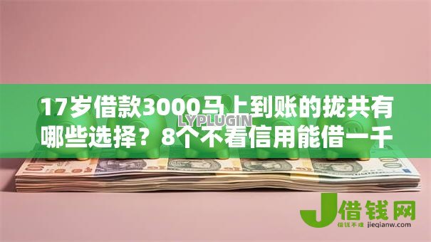 17岁借款3000马上到账的拢共有哪些选择？8个不看信用能借一千块钱的软件详解
