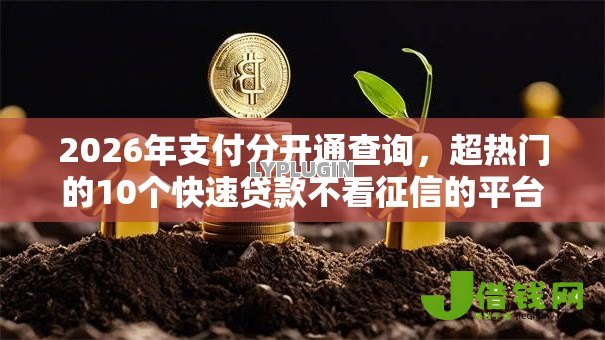 2026年支付分开通查询,超热门的10个快速贷款不看征信的平台推荐 2026年支付分开通查询,超热门的10个快速贷款不看征信的平台推荐
