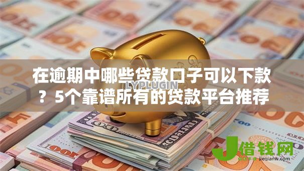 在逾期中哪些贷款口子可以下款？5个靠谱所有的贷款平台推荐
