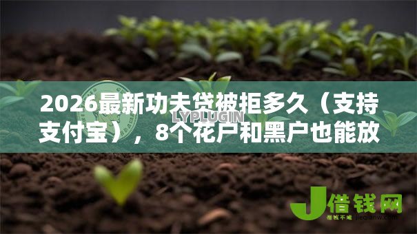 2026最新功夫贷被拒多久（支持支付宝），8个花户和黑户也能放款的平台无私分享