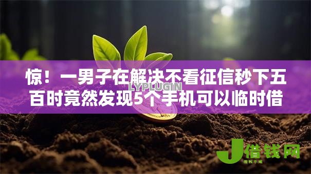 惊！一男子在解决不看征信秒下五百时竟然发现5个手机可以临时借钱的平台，事后分享了出来