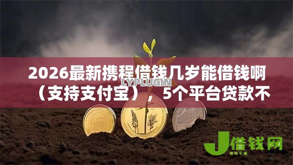 2026最新携程借钱几岁能借钱啊(支持支付宝),5个平台贷款不看征信无私分享 2026最新携程借钱几岁能借钱啊(支持支付宝),5个平台贷款不看征信无私分享