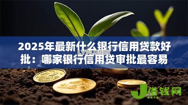 2025年最新什么银行信用贷款好批：哪家银行信用贷审批最容易
