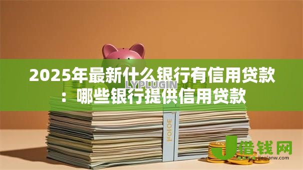 2025年最新什么银行有信用贷款：哪些银行提供信用贷款