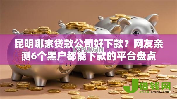 昆明哪家贷款公司好下款?网友亲测6个黑户都能下款的平台盘点 昆明哪家贷款公司好下款?网友亲测6个黑户都能下款的平台盘点