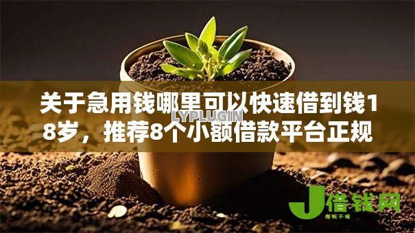 关于急用钱哪里可以快速借到钱18岁,推荐8个小额借款平台正规利息低给你 关于急用钱哪里可以快速借到钱18岁,推荐8个小额借款平台正规利息低给你