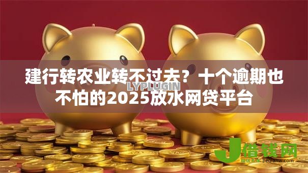 建行转农业转不过去？十个逾期也不怕的2025放水网贷平台