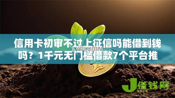 信用卡初审不过上征信吗能借到钱吗？1千元无门槛借款7个平台推荐