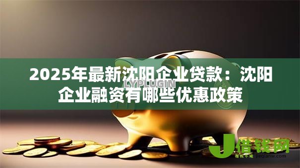 2025年最新沈阳企业贷款：沈阳企业融资有哪些优惠政策