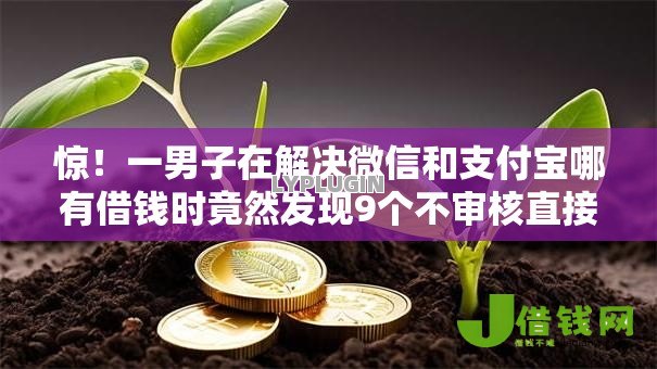 惊！一男子在解决微信和支付宝哪有借钱时竟然发现9个不审核直接放款的软件，事后分享了出来