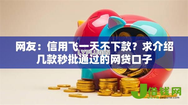 网友：信用飞一天不下款？求介绍几款秒批通过的网贷口子