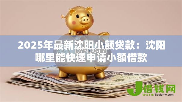 2025年最新沈阳小额贷款：沈阳哪里能快速申请小额借款