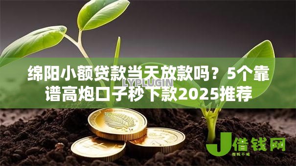 绵阳小额贷款当天放款吗？5个靠谱高炮口子秒下款2025推荐