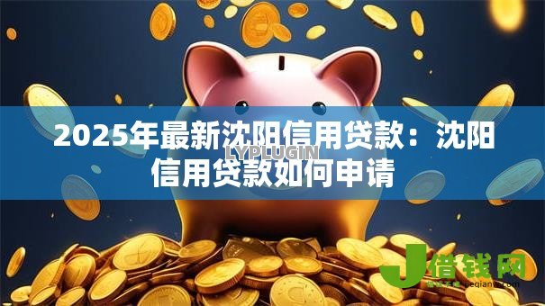 2025年最新沈阳信用贷款：沈阳信用贷款如何申请