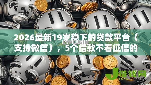 2026最新19岁稳下的贷款平台（支持微信），5个借款不看征信的平台无私分享