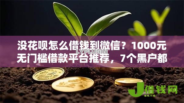 没花呗怎么借钱到微信?1000元无门槛借款平台推荐,7个黑户都可以通过的贷款平台盘点 没花呗怎么借钱到微信?1000元无门槛借款平台推荐,7个黑户都可以通过的贷款平台盘点