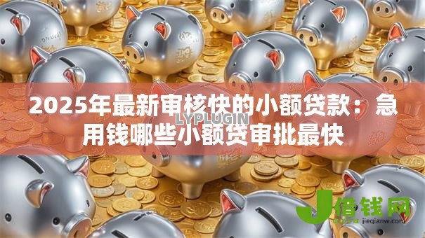 2025年最新审核快的小额贷款:急用钱哪些小额贷审批最快 2025年最新审核快的小额贷款:急用钱哪些小额贷审批最快