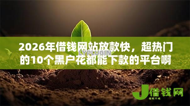 2026年借钱网站放款快，超热门的10个黑户花都能下款的平台啊推荐
