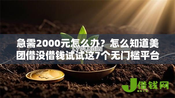 急需2000元怎么办？怎么知道美团借没借钱试试这7个无门槛平台