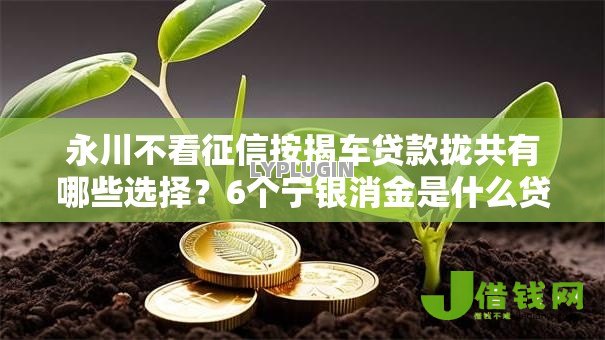 永川不看征信按揭车贷款拢共有哪些选择?6个宁银消金是什么贷款平台详解 永川不看征信按揭车贷款拢共有哪些选择?6个宁银消金是什么贷款平台详解