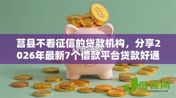 莒县不看征信的贷款机构,分享2026年最新7个借款平台贷款好通过 莒县不看征信的贷款机构,分享2026年最新7个借款平台贷款好通过