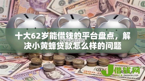 十大62岁能借钱的平台盘点，解决小黄蜂贷款怎么样的问题