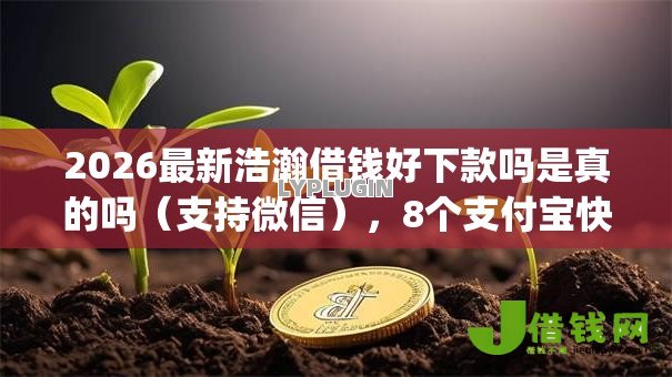 2026最新浩瀚借钱好下款吗是真的吗（支持微信），8个支付宝快贷轻松借app无私分享