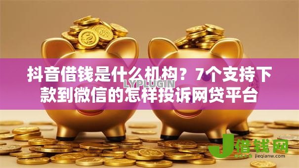 抖音借钱是什么机构？7个支持下款到微信的怎样投诉网贷平台