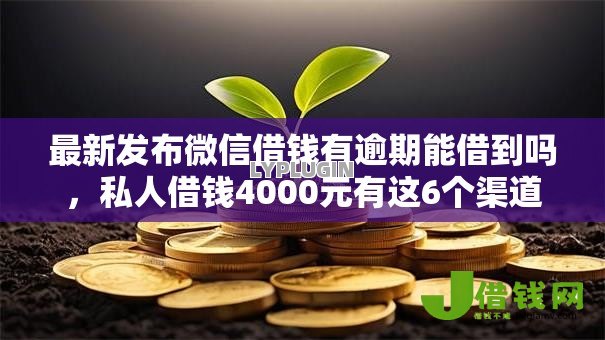 最新发布微信借钱有逾期能借到吗，私人借钱4000元有这6个渠道