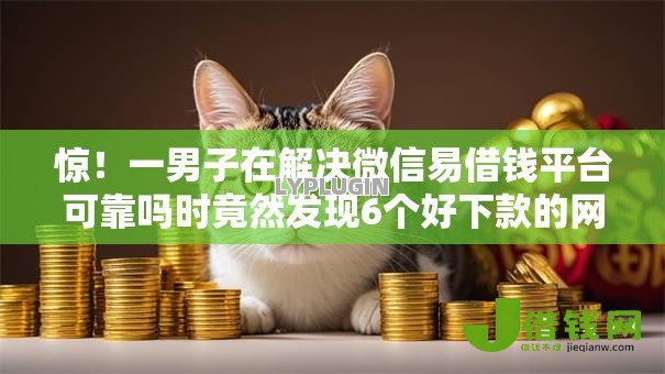 惊！一男子在解决微信易借钱平台可靠吗时竟然发现6个好下款的网贷口子2025，事后分享了出来