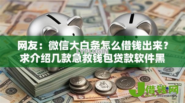 网友:微信大白条怎么借钱出来?求介绍几款急救钱包贷款软件黑户好下款 网友:微信大白条怎么借钱出来?求介绍几款急救钱包贷款软件黑户好下款