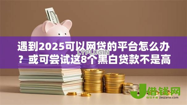 遇到2025可以网贷的平台怎么办？或可尝试这8个黑白贷款不是高炮的口子