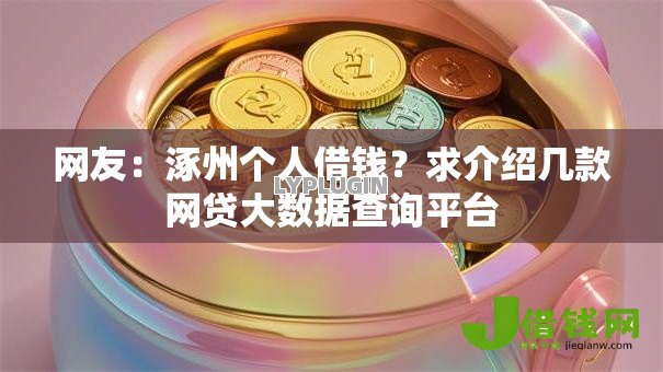 网友：涿州个人借钱？求介绍几款网贷大数据查询平台