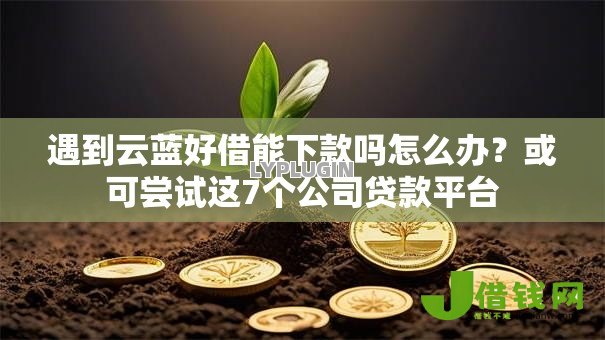 遇到云蓝好借能下款吗怎么办?或可尝试这7个公司贷款平台 遇到云蓝好借能下款吗怎么办?或可尝试这7个公司贷款平台