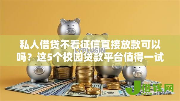 私人借贷不看征信直接放款可以吗？这5个校园贷款平台值得一试