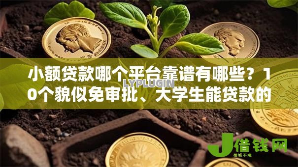 小额贷款哪个平台靠谱有哪些?10个貌似免审批、大学生能贷款的平台合集 小额贷款哪个平台靠谱有哪些?10个貌似免审批、大学生能贷款的平台合集