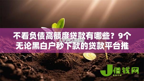 不看负债高额度贷款有哪些?9个无论黑白户秒下款的贷款平台推荐给你 不看负债高额度贷款有哪些?9个无论黑白户秒下款的贷款平台推荐给你
