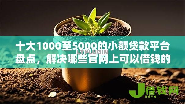 十大1000至5000的小额贷款平台盘点，解决哪些官网上可以借钱的问题