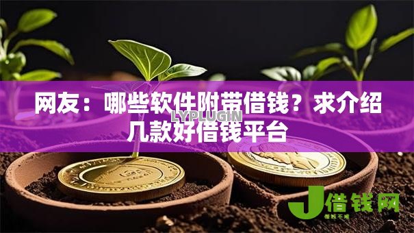 网友：哪些软件附带借钱？求介绍几款好借钱平台