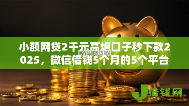 小额网贷2千元高炮口子秒下款2025，微信借钱5个月的5个平台介绍
