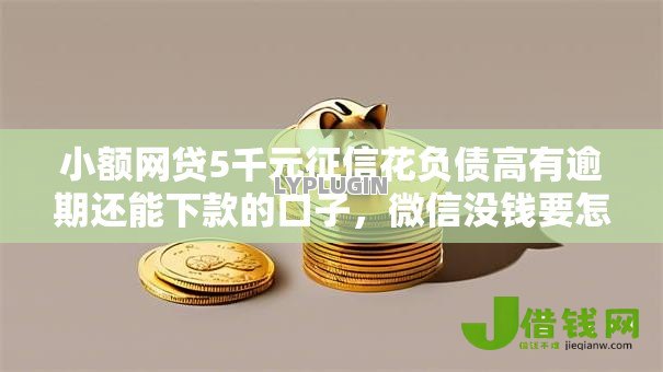 小额网贷5千元征信花负债高有逾期还能下款的口子，微信没钱要怎么借钱的6个平台介绍
