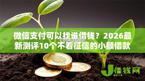 微信支付可以找谁借钱?2026最新测评10个不看征信的小额借款平台 微信支付可以找谁借钱?2026最新测评10个不看征信的小额借款平台